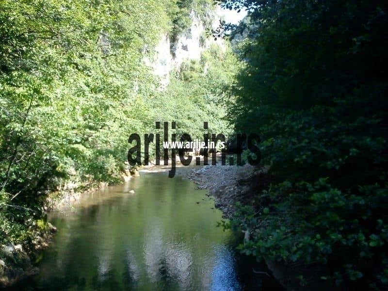 DSC00642