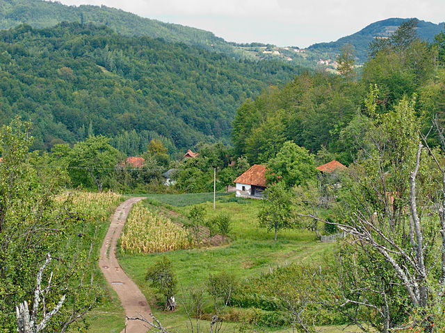Arilje-severovo-2