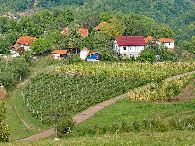 Arilje-severovo-3