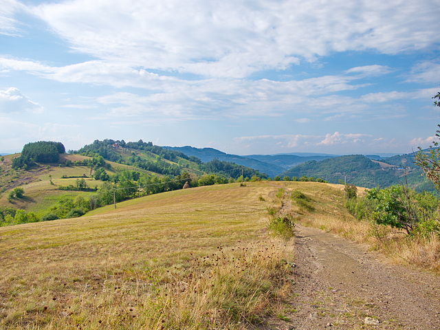 Arilje-severovo-4