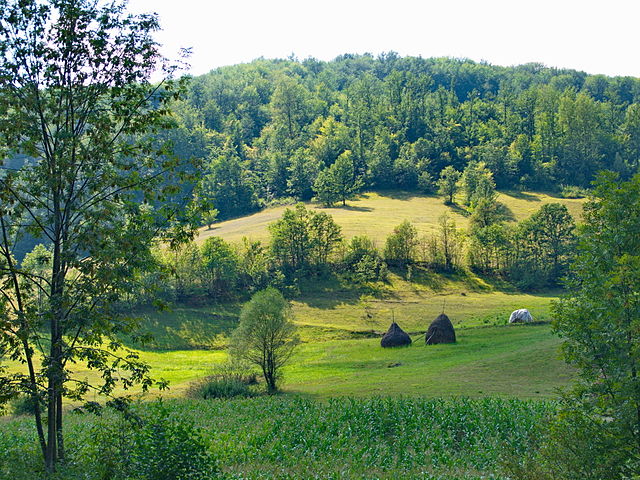 Arilje-severovo