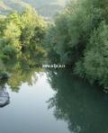 reka rzav (7)